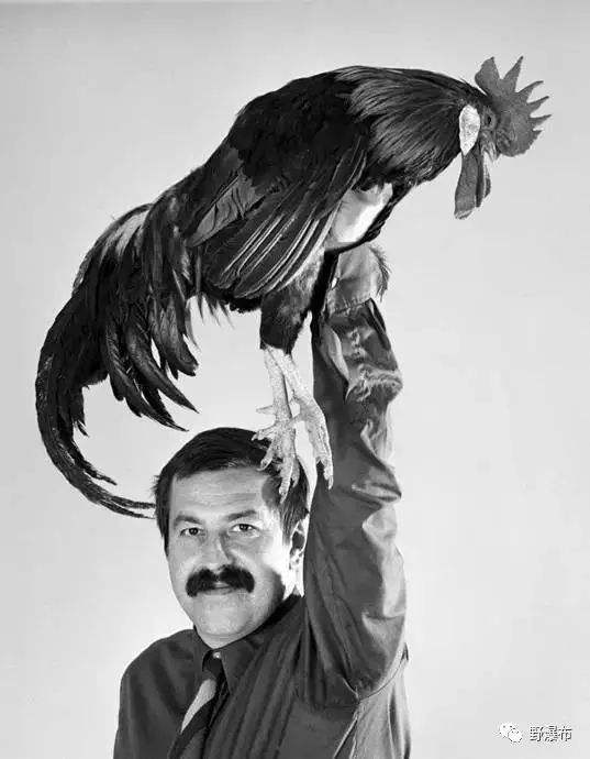 中国翻盘希腊，布鲁诺刷新纪录