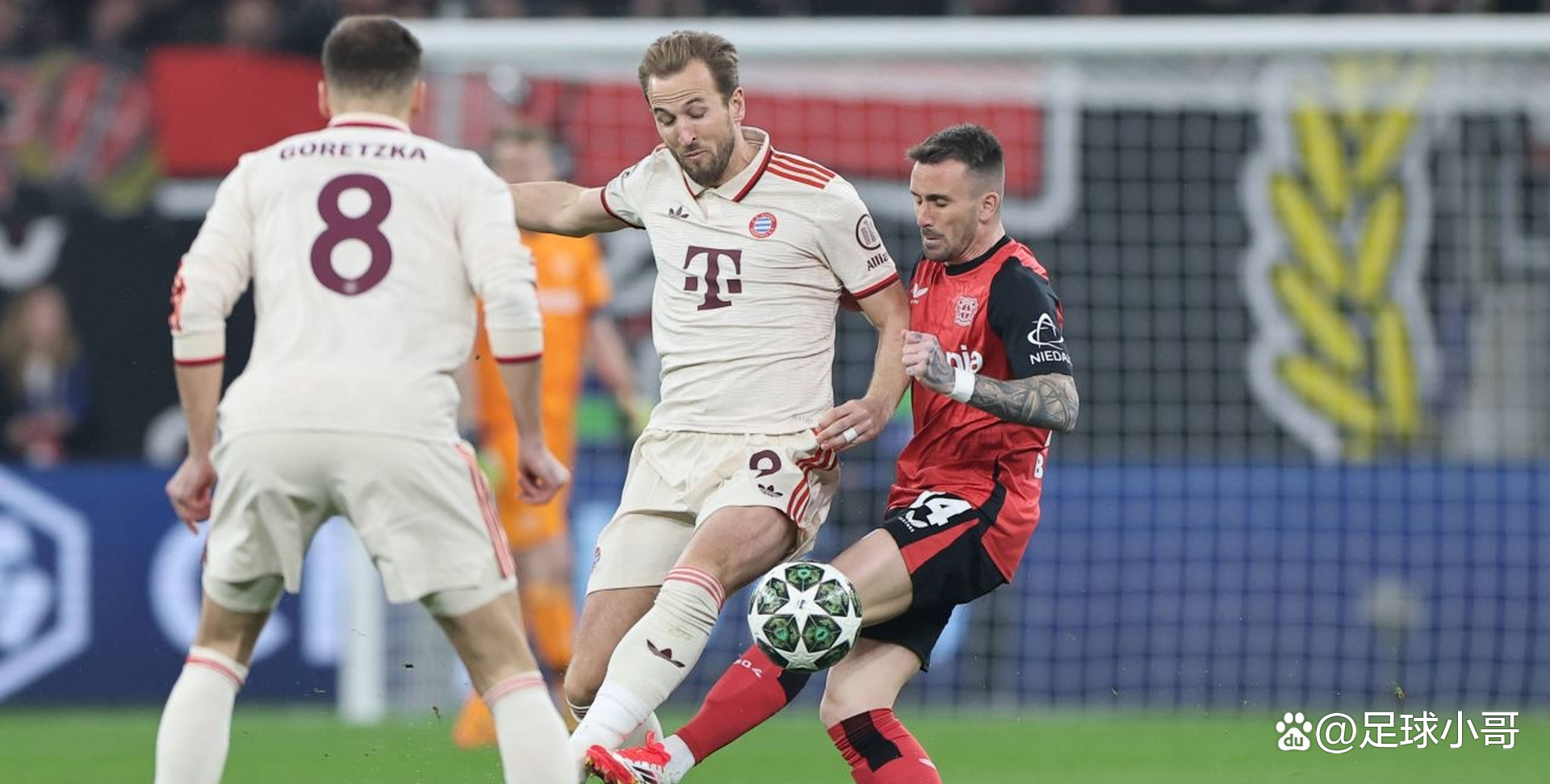 希腊险胜勒沃库森，凯恩统治全场