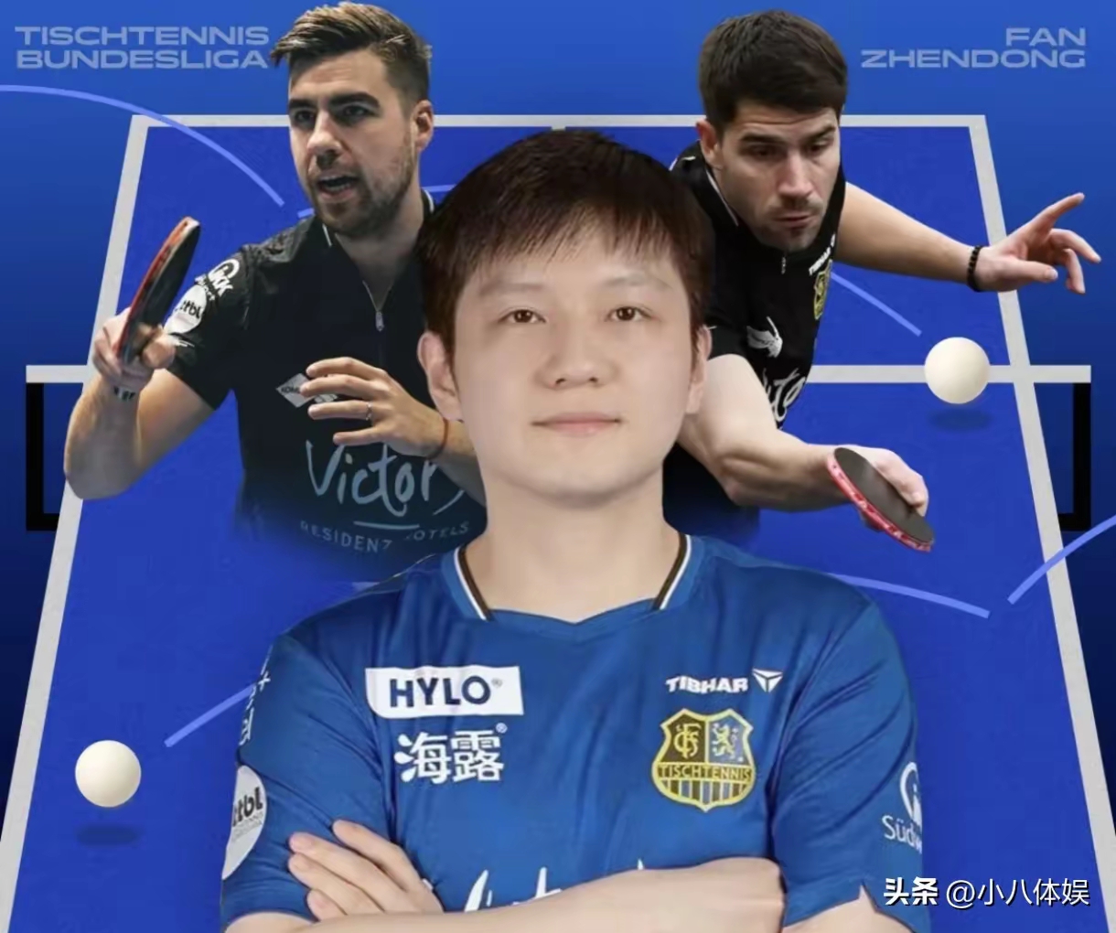 英格兰队横扫韩国队，樊振东统治全场